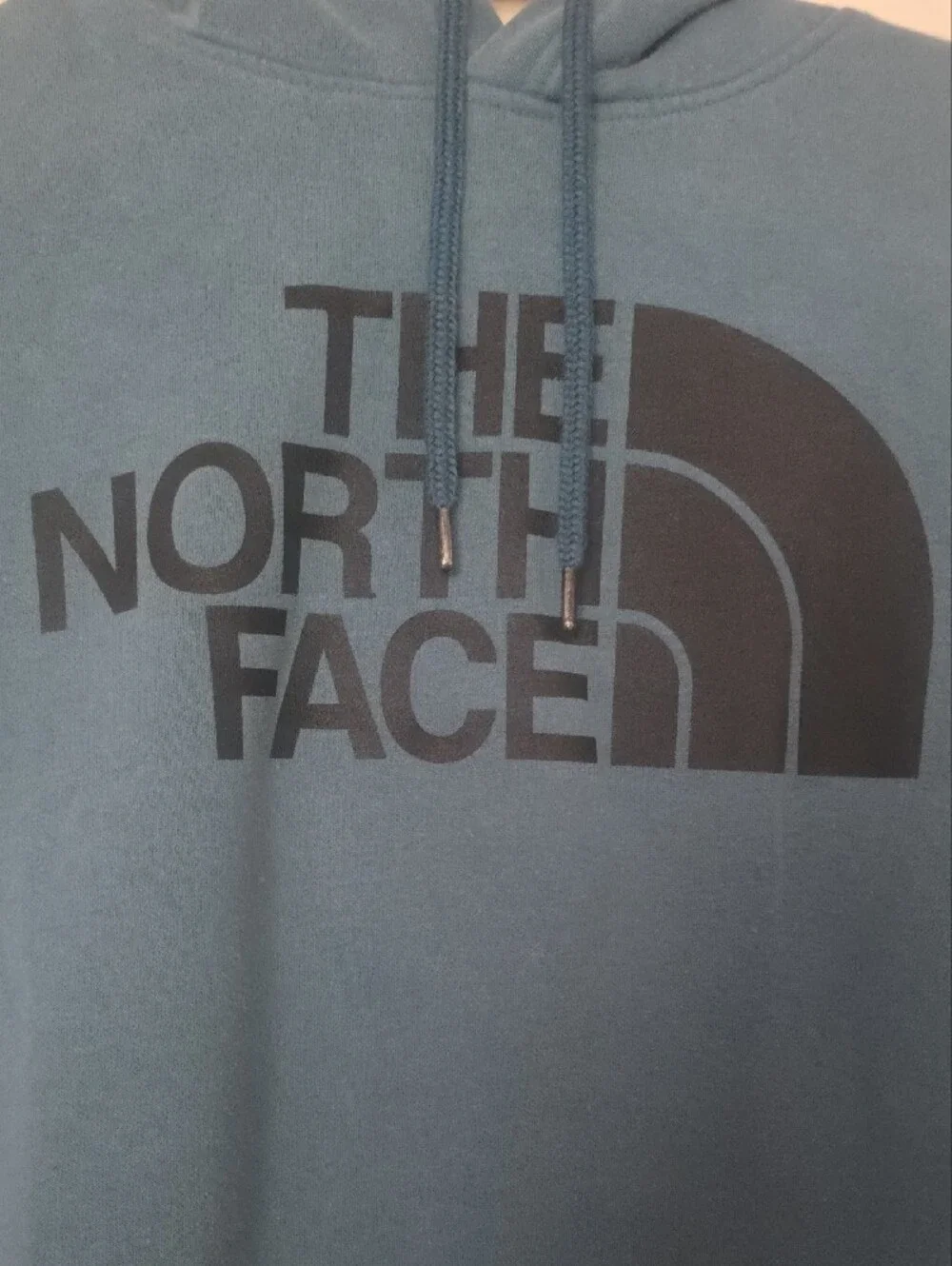 The North Face Hooded Pullover Sweatshirt